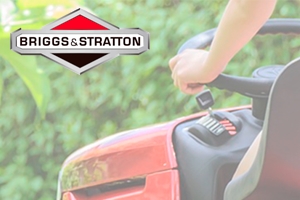 Briggs & Stratton Seriennummer & Modell